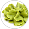 Wasabi