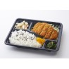 Bento Poulet Katsu Curry