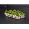 California Wakame Concombre Avocat Cheese